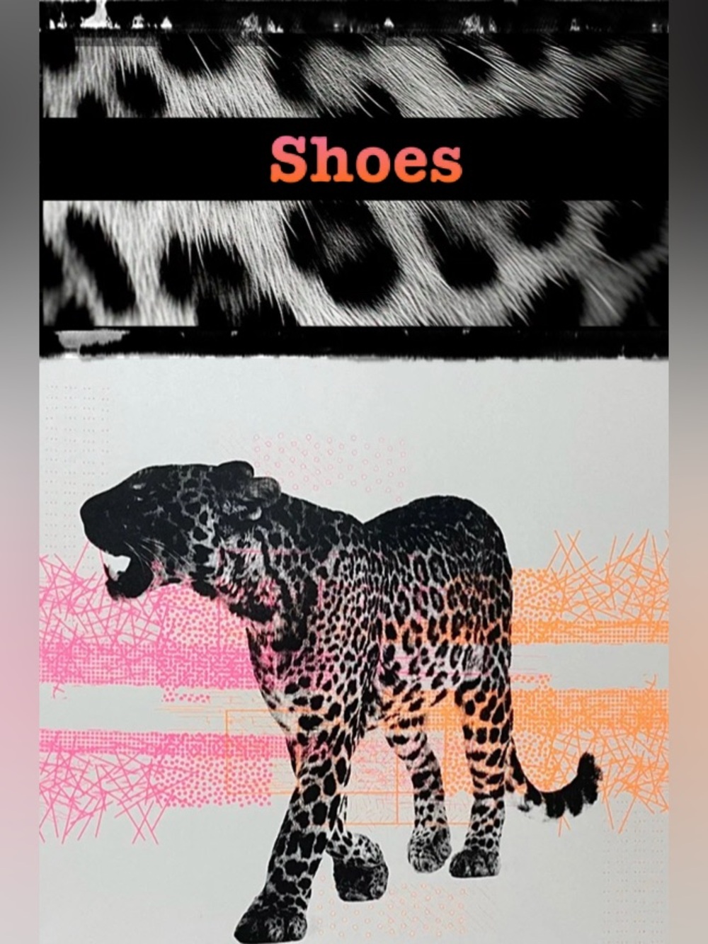 Shoes 🐆